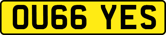 OU66YES