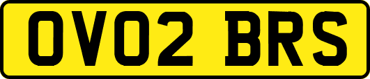OV02BRS