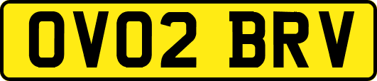 OV02BRV