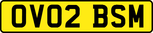 OV02BSM