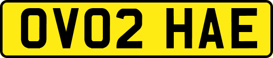OV02HAE