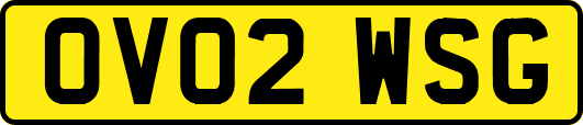OV02WSG