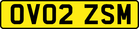 OV02ZSM