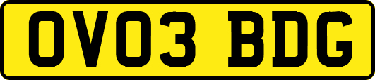 OV03BDG