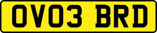 OV03BRD