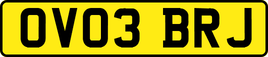 OV03BRJ