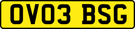 OV03BSG