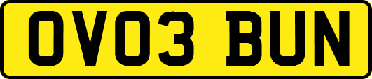 OV03BUN