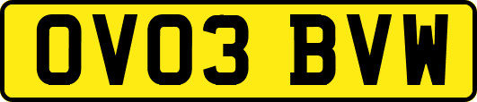 OV03BVW