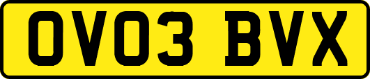 OV03BVX