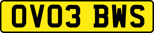 OV03BWS