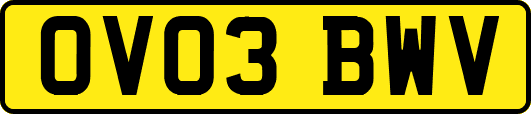 OV03BWV