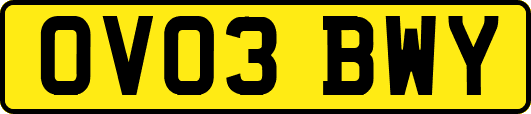 OV03BWY