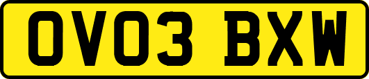 OV03BXW