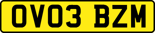 OV03BZM