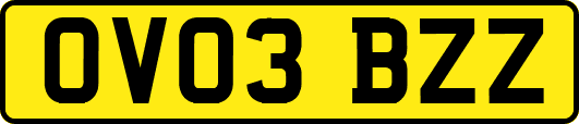 OV03BZZ