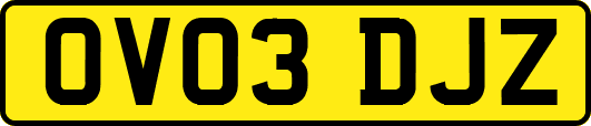 OV03DJZ