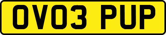 OV03PUP
