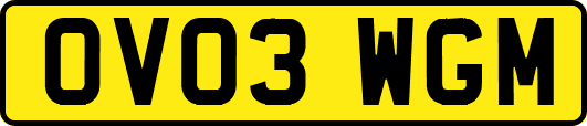 OV03WGM