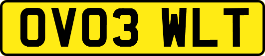 OV03WLT