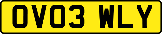 OV03WLY