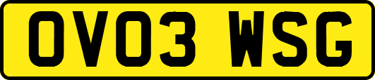 OV03WSG