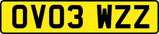 OV03WZZ