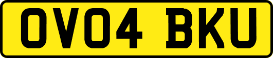 OV04BKU