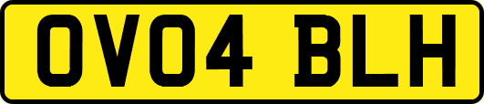 OV04BLH