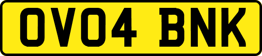 OV04BNK