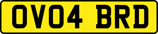 OV04BRD