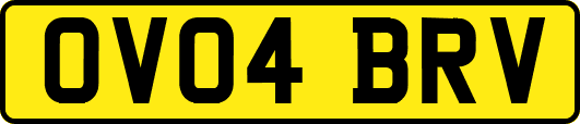 OV04BRV