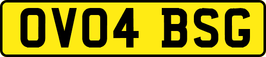 OV04BSG