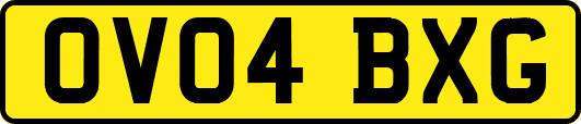 OV04BXG