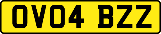 OV04BZZ