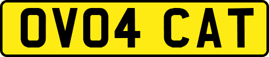 OV04CAT