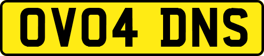 OV04DNS