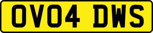 OV04DWS