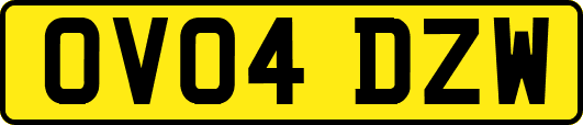 OV04DZW
