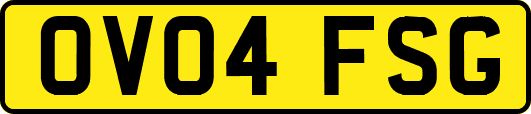 OV04FSG