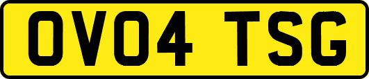 OV04TSG