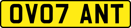 OV07ANT