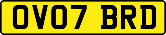 OV07BRD