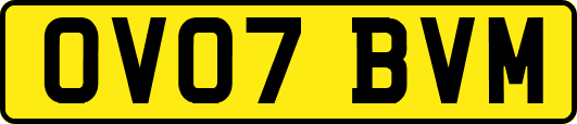 OV07BVM