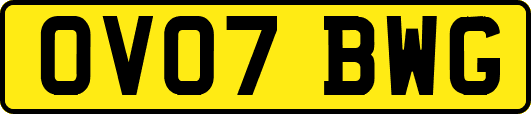 OV07BWG