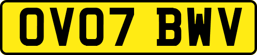OV07BWV