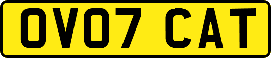 OV07CAT