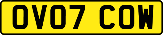 OV07COW