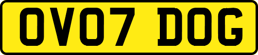 OV07DOG