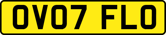 OV07FLO